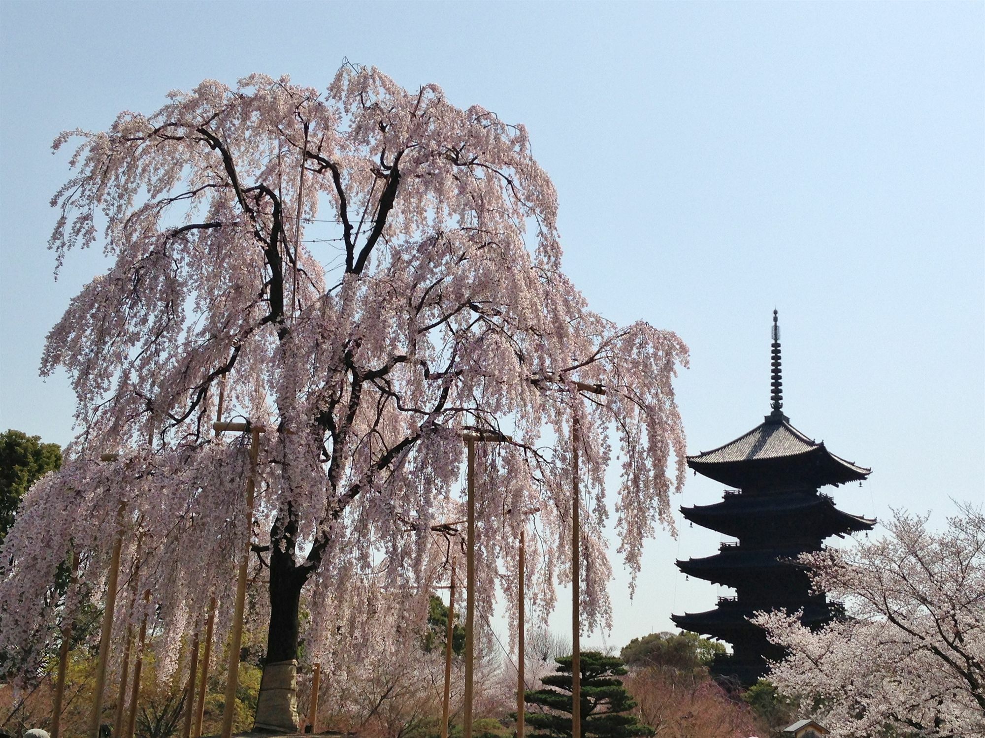 HOTEL LiVEMAX Kyoto Gojo Eksteriør billede